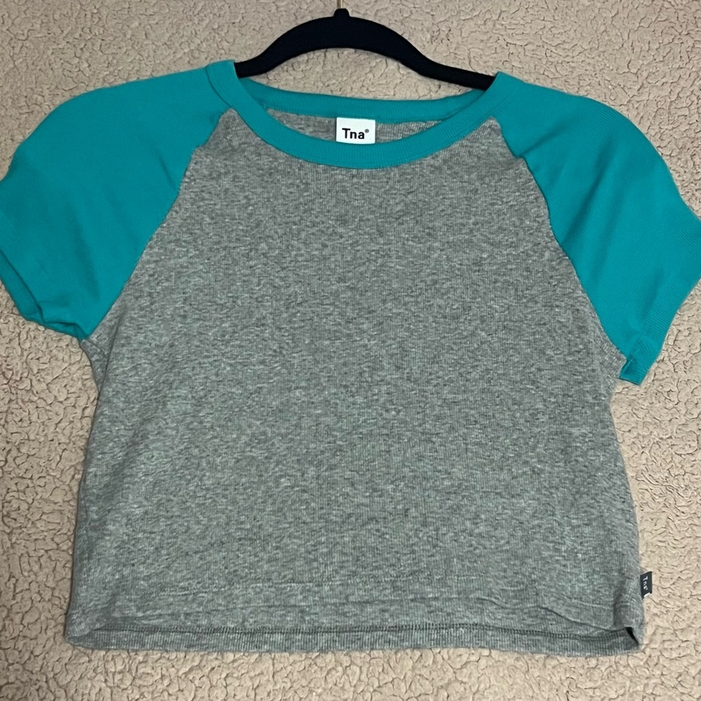 Aritzia Tna Gray and Blue Cropped Tee